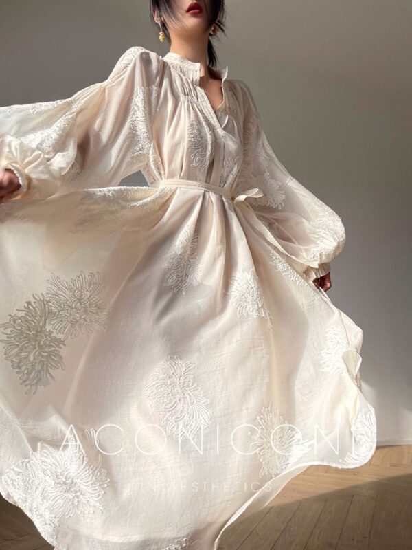 Spring Women Embroidery Evening Party Dresses Elegant Lantern Sleeve Vintage Casual A-Line Dress Female Fashion Vestidos Robe - Image 3